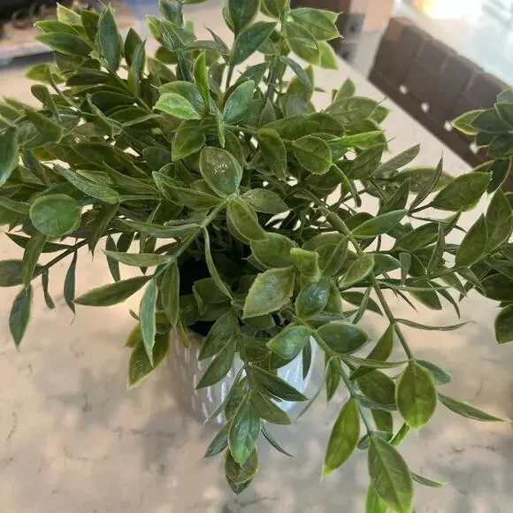 (2) Faux plants - Picture 4 of 9